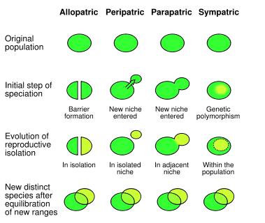 Modes of Speciation