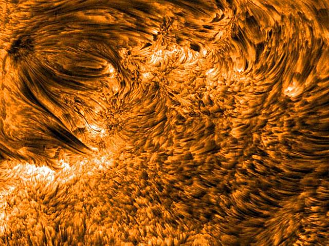 Stellar Physiology and Anatomy